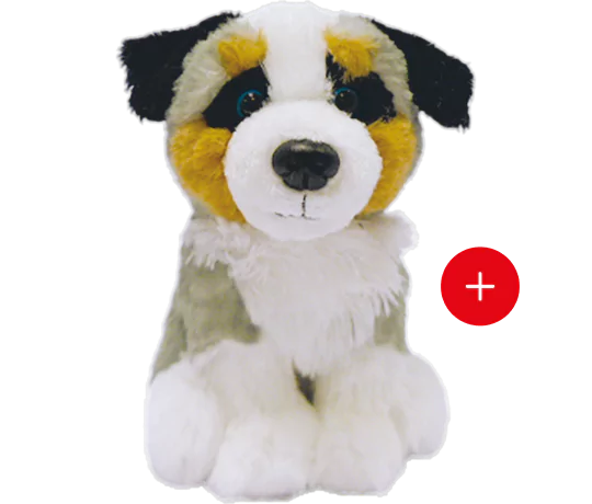 le berger australien