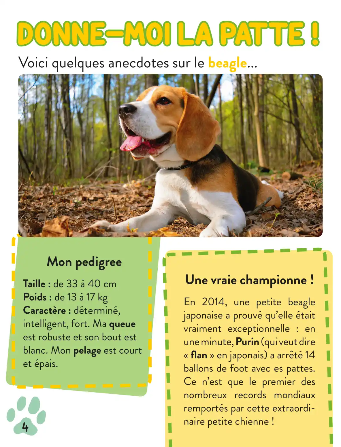 Joue et apprends avec les meilleurs amis des enfants